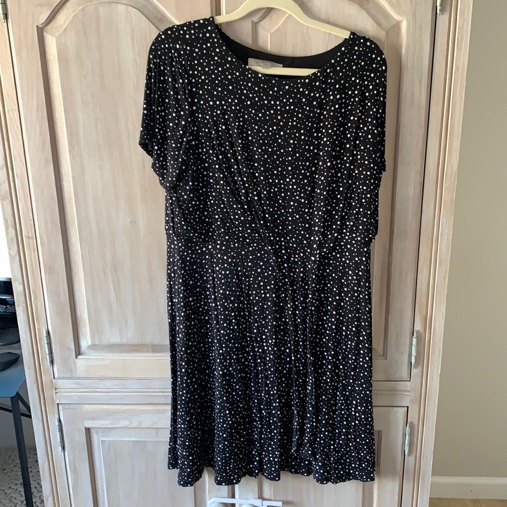 Loft Plus Size 16 Black and White Polka Dot Dress